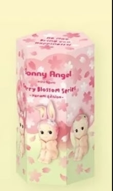 Cherry Blossom Series -Hanami Edition Random Box and Confirmed Box